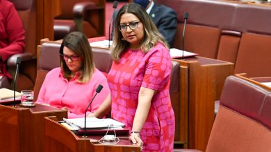 The Green's bill has no plan to increase Commonwealth funding. Picture: Martin Ollman.