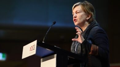 Professor Mary O'Kane will lead the interim ATEC. Picture: Hollie Adams
