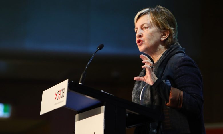 Professor Mary O'Kane will lead the interim ATEC. Picture: Hollie Adams