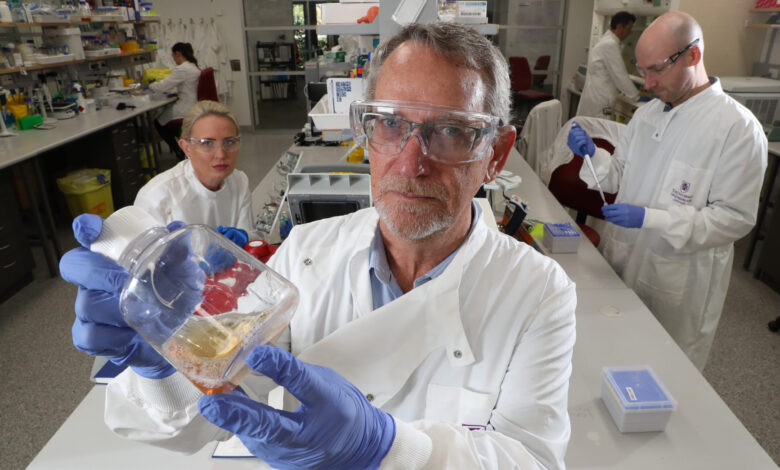Professor Paul Young and other researchers working on a rapid response vaccine in 2020. Picture: Liam Kidston