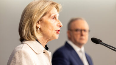 Thursday 10 July 2025: Jillian Segal talks at a press conference in Sydney to discuss Anthony AlbaneseÃs plans to combat anti-semitism Picture Thomas Lisson