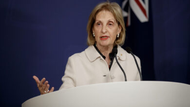 SYDNEY, AUSTRALIA - NewsWire Photos JULY 10, 2025: Special Envoy to Combat Antisemitism, Jillian Segal during a press conference on Thursday. Picture: NewsWire / Nikki Short