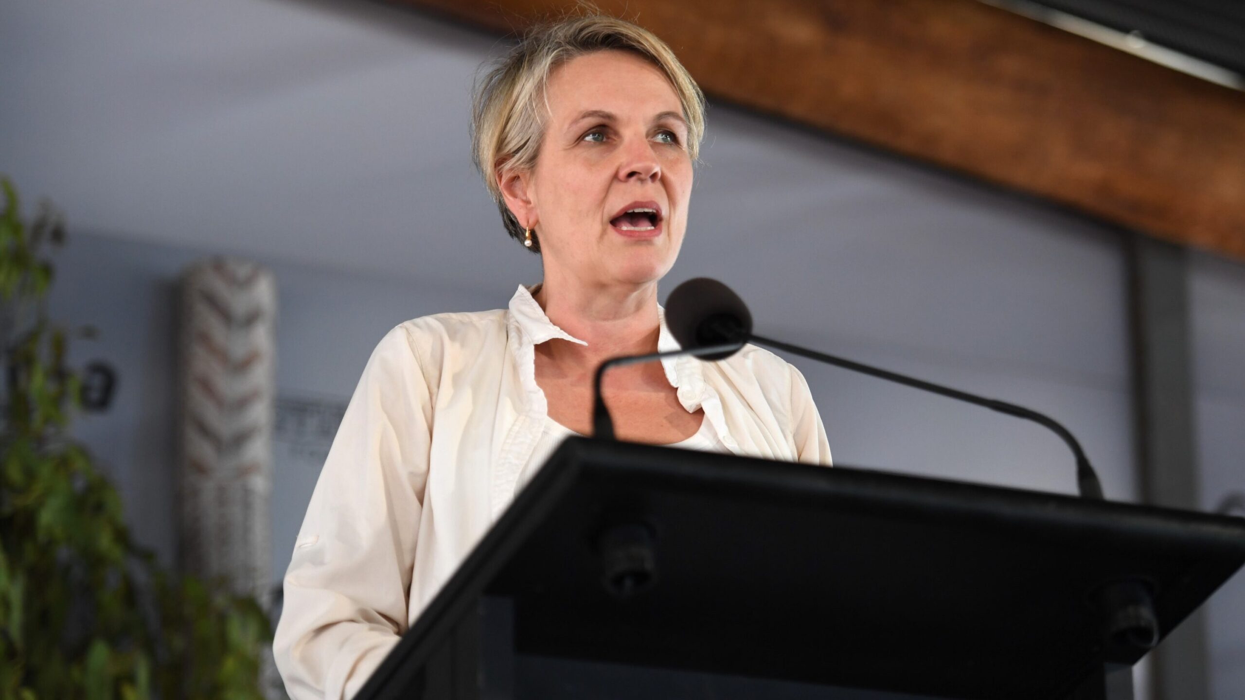 Social Services Minister Tanya Plibersek. Picture: Zizi Averill