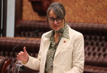 NSW Legislative Council member Sarah Kaine. Picture: Supplied
