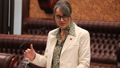 NSW Legislative Council member Sarah Kaine. Picture: Supplied