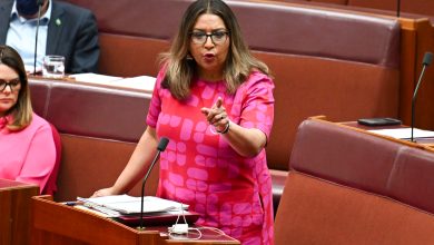 Senator Faruqi asked how cuts to teacher education serves society. Picture: Martin Ollman