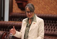NSW Legislative Council member Sarah Kaine. Picture: Supplied