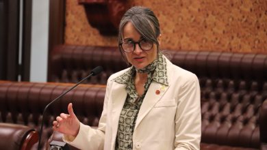 NSW Legislative Council member Sarah Kaine. Picture: Supplied