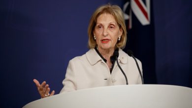 SYDNEY, AUSTRALIA - NewsWire Photos JULY 10, 2025: Special Envoy to Combat Antisemitism, Jillian Segal during a press conference on Thursday. Picture: NewsWire / Nikki Short