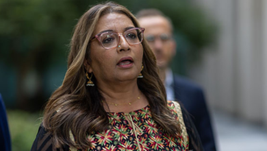 Greens deputy leader Mehreen Faruqi introduced many amendments to the bill. Picture: Gary Ramage.