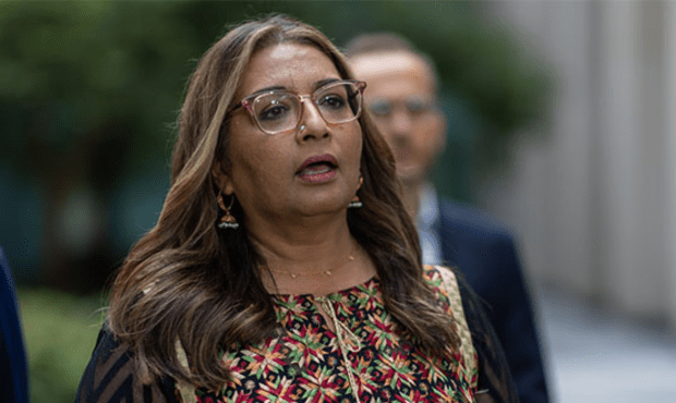 Greens deputy leader Mehreen Faruqi introduced many amendments to the bill. Picture: Gary Ramage.